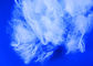 Witte Polylactic Zure Vezelvlam - de vertrager met 32MM102mm sneed Lengte